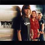 Bleach Web Site